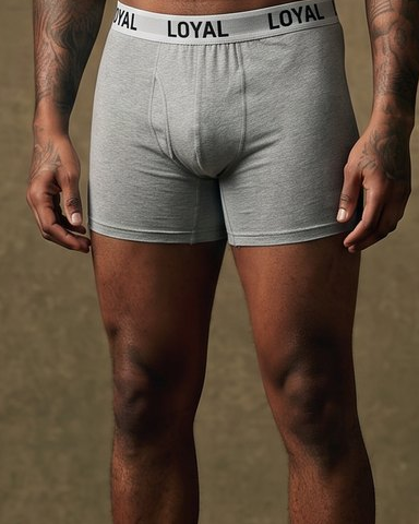 Gray Boxer Brief worn, close detail
