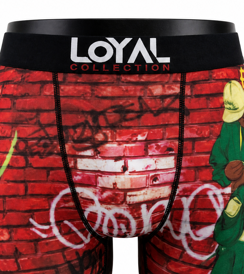 Brick Graffiti Boxer Brief, waistband and pouch detail