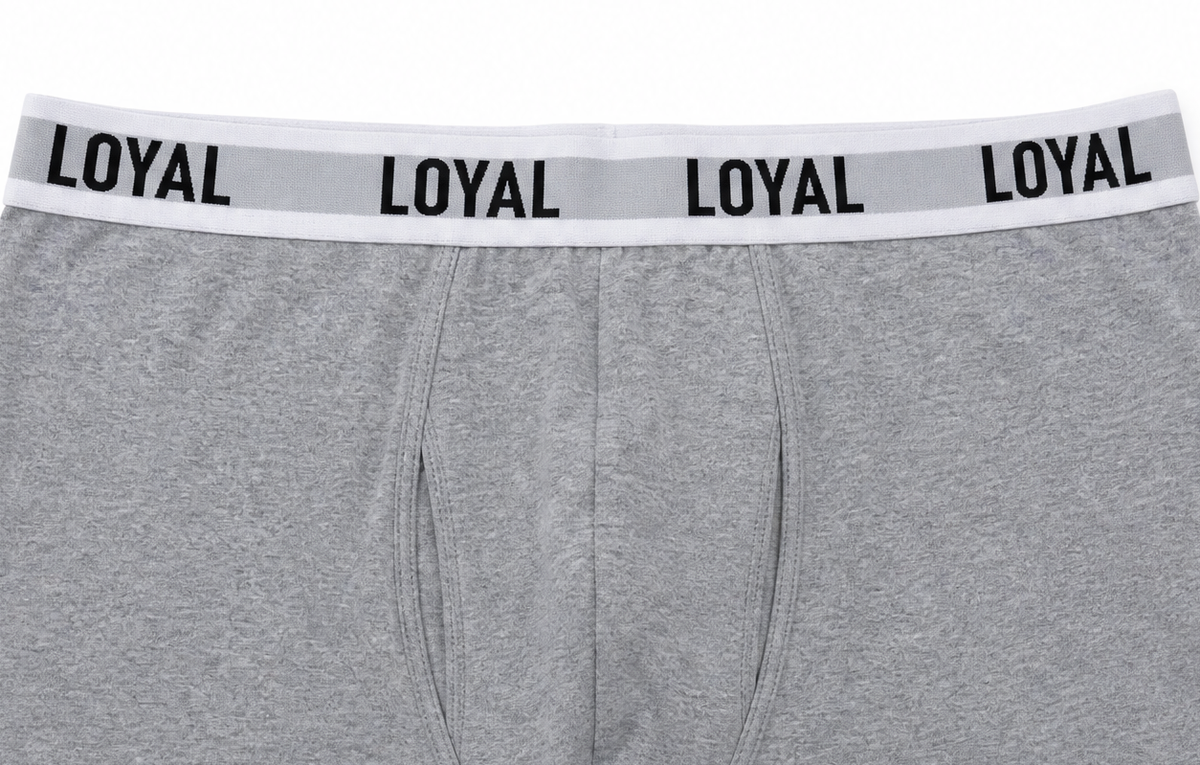 Gray Boxer Brief, waistband and pouch detail