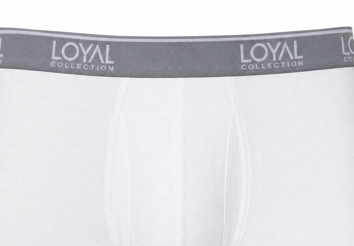White Boxer Brief, waistband and pouch detail