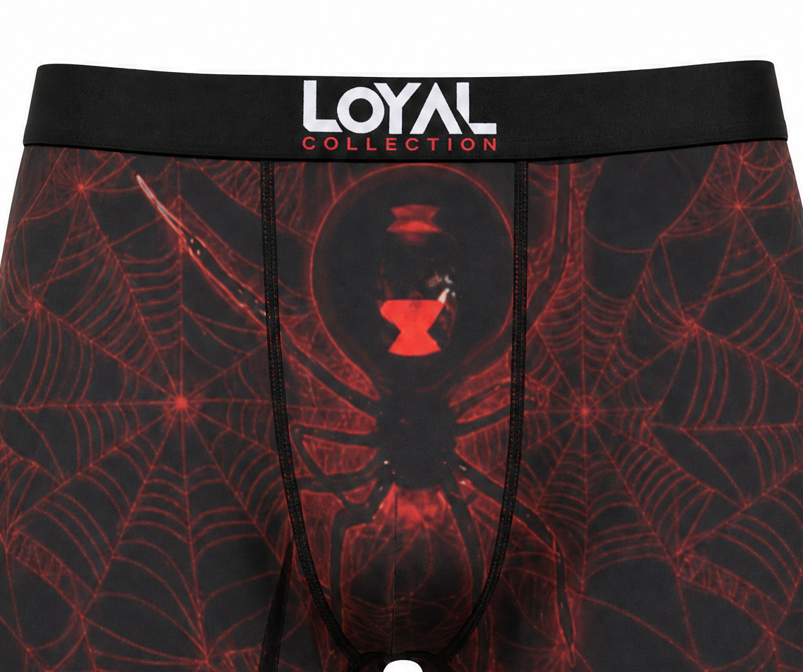 Spiderweb Boxer Brief, waistband and pouch detail