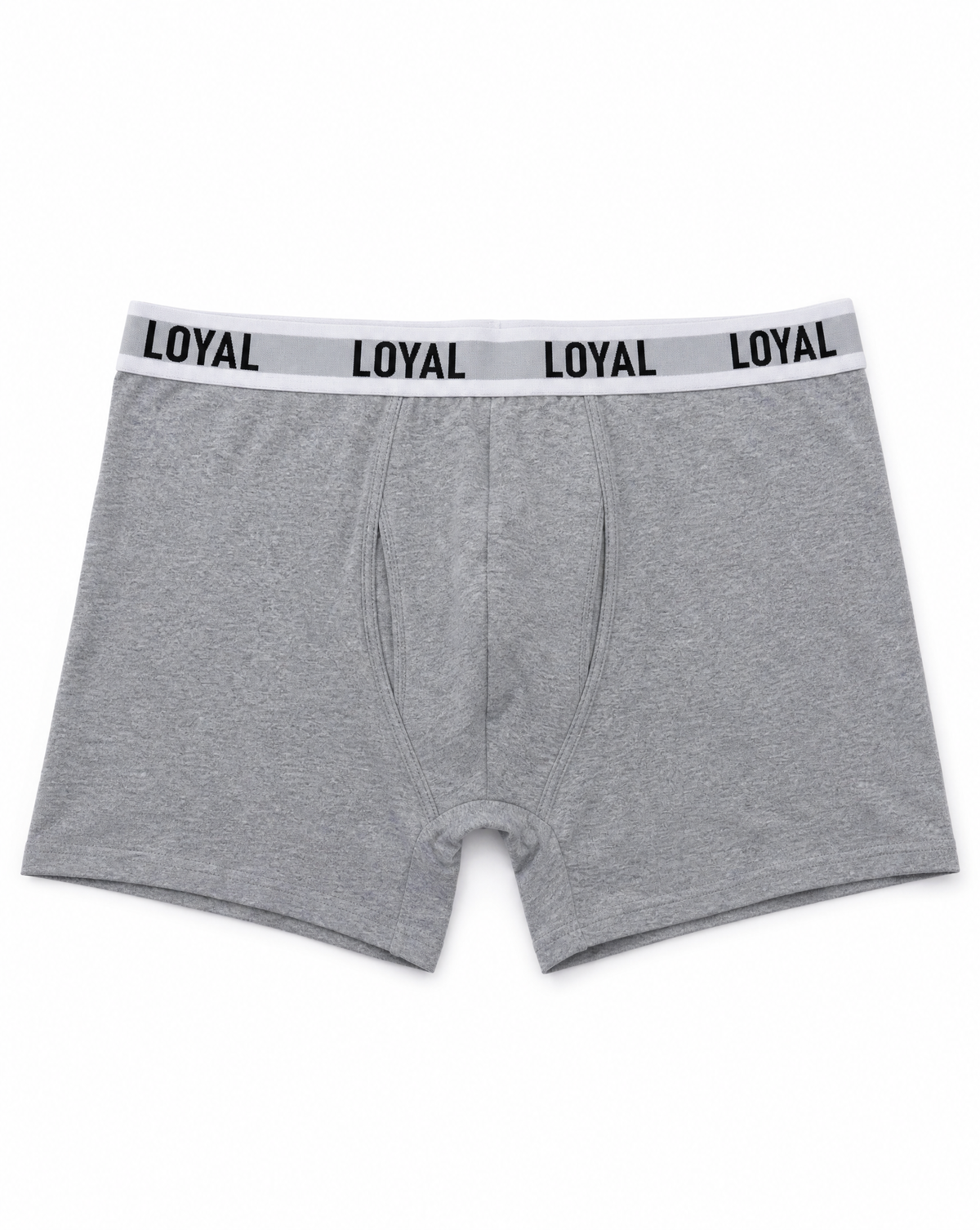 Gray Boxer Brief, front view