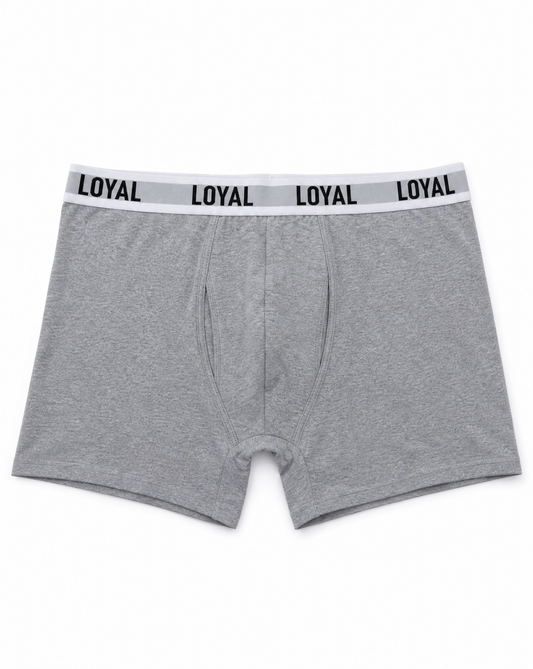Gray Boxer Brief, front view