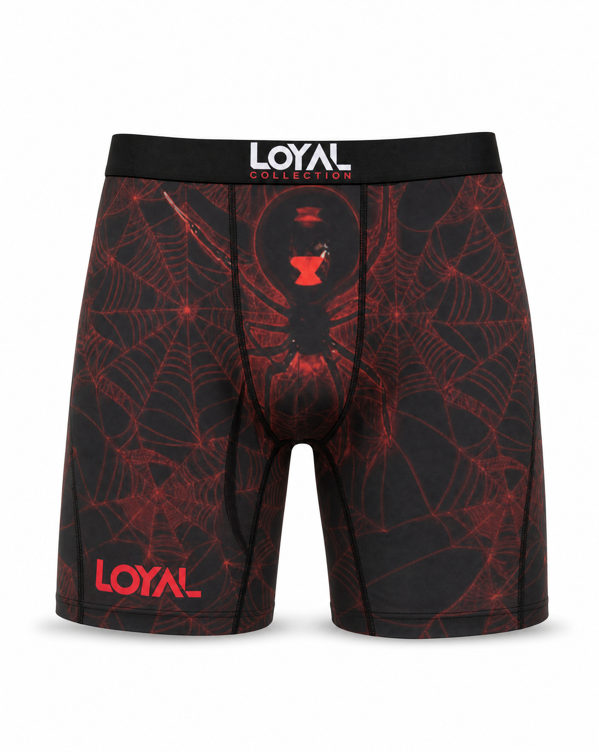 Spiderweb Boxer Brief, front view