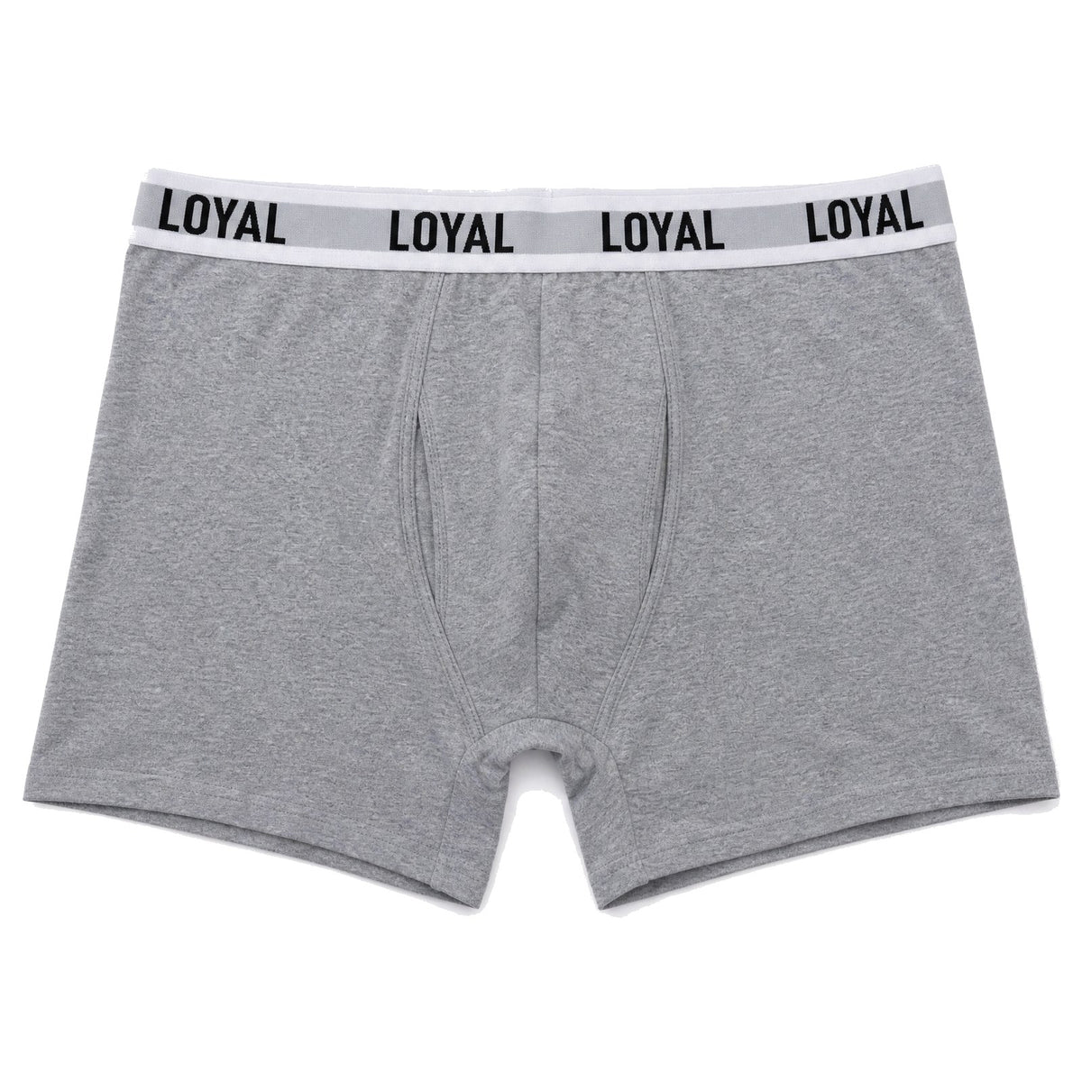 Gray Boxer Brief, flat