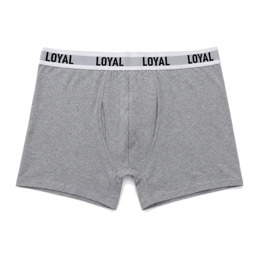 Gray Boxer Brief