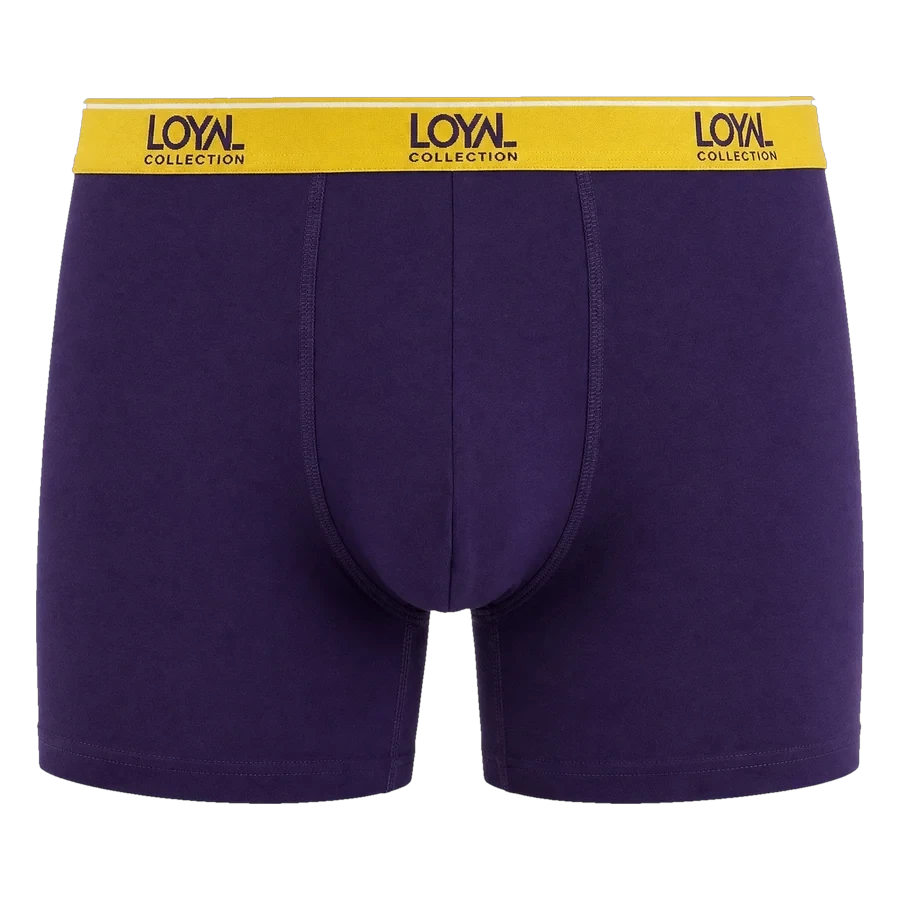 Purple Boxer Brief