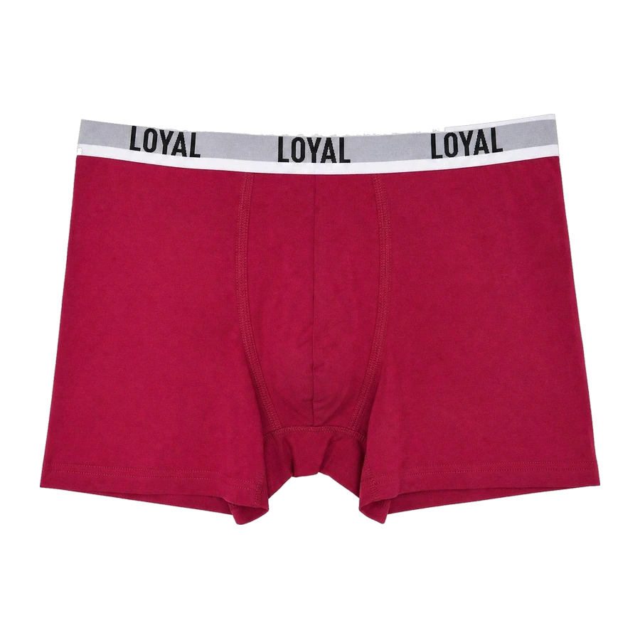 Red Boxer Brief