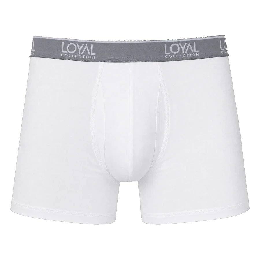 White Boxer Brief